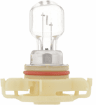 Philips PSX24W Halogen Headlight Bulb