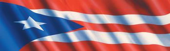 Puerto Rican Flag Rear Window Decal