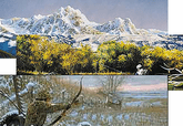 Scenic, Hunting or Fishing Decals