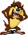 Taz Store