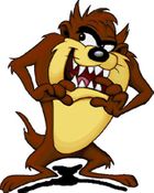 Taz Store