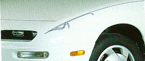 Trimbrite Self-Adhesive Accent Pinstripes