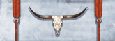 Western Longhorn Rear Window Decal