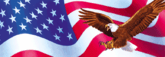 Wings of Glory Rear Window Decal