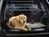 WeatherTech Pet Barrier