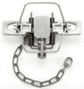 Duke #2 Square Offset Jaw 4 coiled Traps 