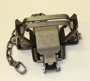 Bridger #2 Offset 4 Coil Dogless Traps