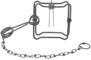 Duke 110 Magnum Body Trap