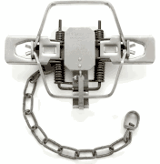 Duke #2 Square Jaw 4 coiled Traps