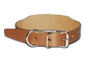 Special Beagle Collar