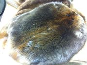 Tanned Small Beaver Pelt