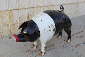 14 Metal Pig Yard Art - Black and White Saddleback Pig