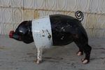14 Metal Pig Yard Art - Black and White Saddleback Pig