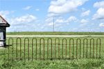 2 Hairpin Wrought Iron Fence Panels - All Hoops