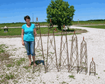 19 Wrought Iron Tolan Topiary Plant Trellis