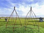 23 Inch Berry Wrought Iron Obelisk Plant Support