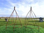 23 Inch Berry Wrought Iron Obelisk Plant Support