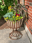 24 Wrought Iron Strap Urn Decorative Container  Plant Holder
