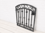 3-ft Tall 3-ft Wide Wrought Iron Donovan Entry Gate