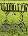 30" Wide Country Style Fern Stand Wrought Iron Planter - Plant Stand