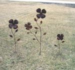 37 Rustic Metal Flower Stake - Lawn Ornament