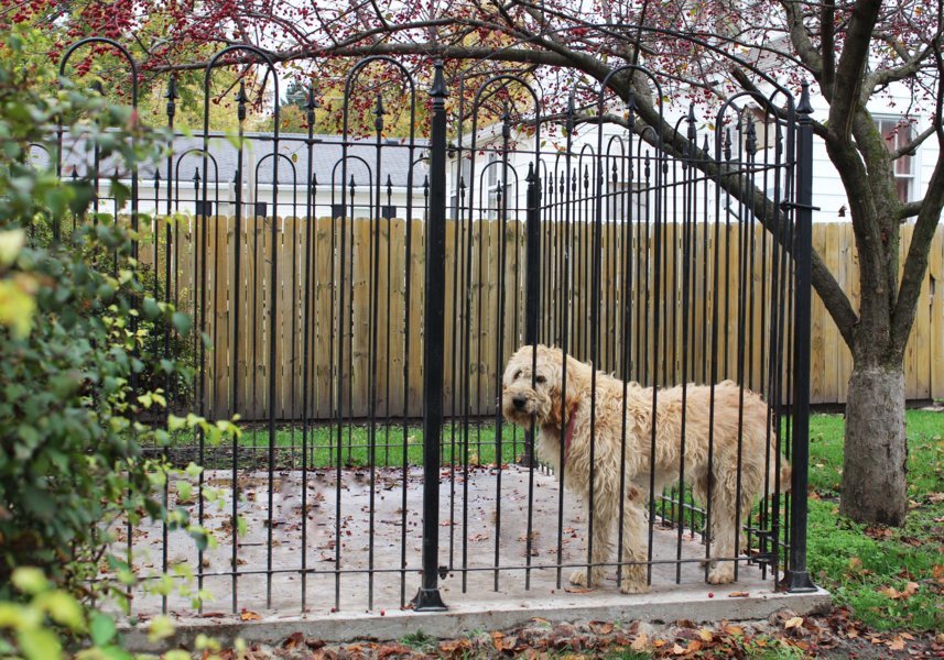 3 sided top dog run