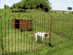 4' Tall Wrought Iron Interlocking Fence