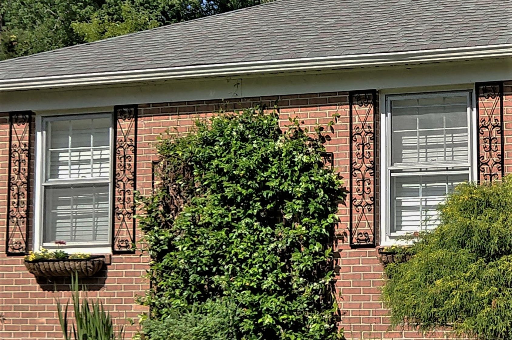 4ft New Orleans Wrought Iron House Shutters - Metal Art