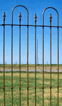6 ft. Tall Wrought Iron Fence - Custom Cut Panel