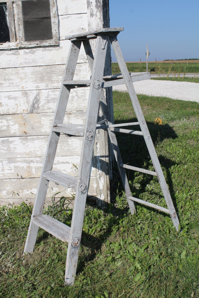 5 Step Ladder for Decorating Your Home