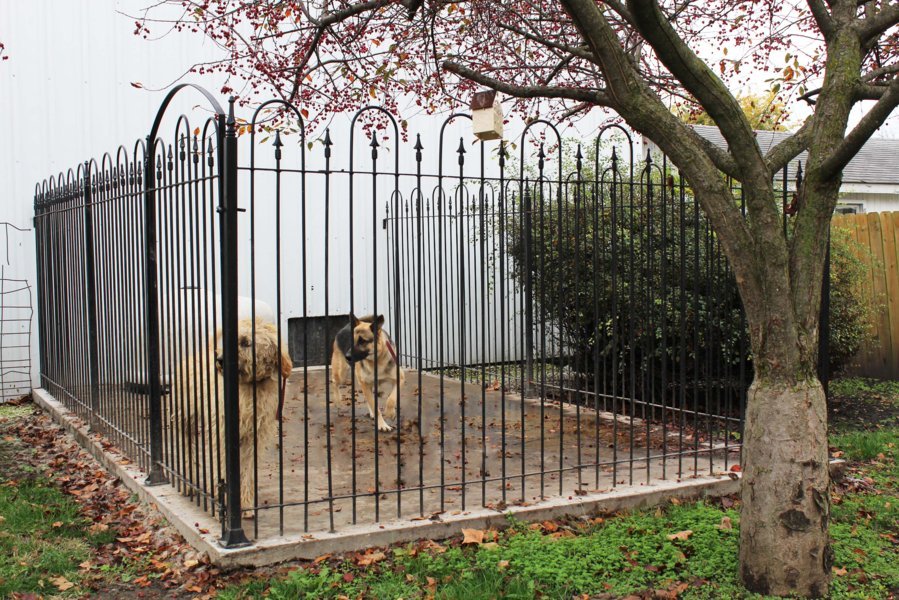 5't Wrought Iron 3 Sided Dog Kennel Pen Enclosure Package