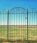 6 Tall Wrought Iron Fence Panel - 43.5 Long