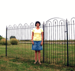 6 Tall Wrought Iron Fence Panel - 43.5 Long
