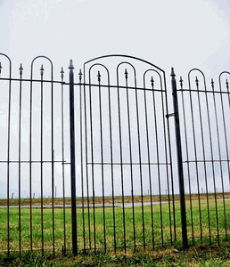6' Wrought Iron Fencing & Gates