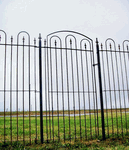 6' Wrought Iron Fencing & Gates