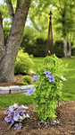 66 Wrought Iron Triangle Garden Obelisk With Finial Top