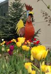 70 Recycled Metal Sculpture of Funky Chicken