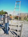 Tall 10 Step Rustic Wooden Ladder Shelf OUT OF STOCK
