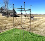 Big 20dia Metal Blossom Peony Topiary Trellis Tomato Cage