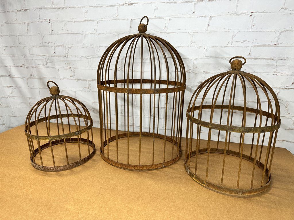 Bird Cage Cloche Topiaries In 3 sizes!
