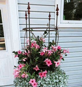 4 Finial Blossom Obelisk - 17dia Flower Container Garden Topiary