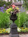 Metal Urn Flowing with Flowers
