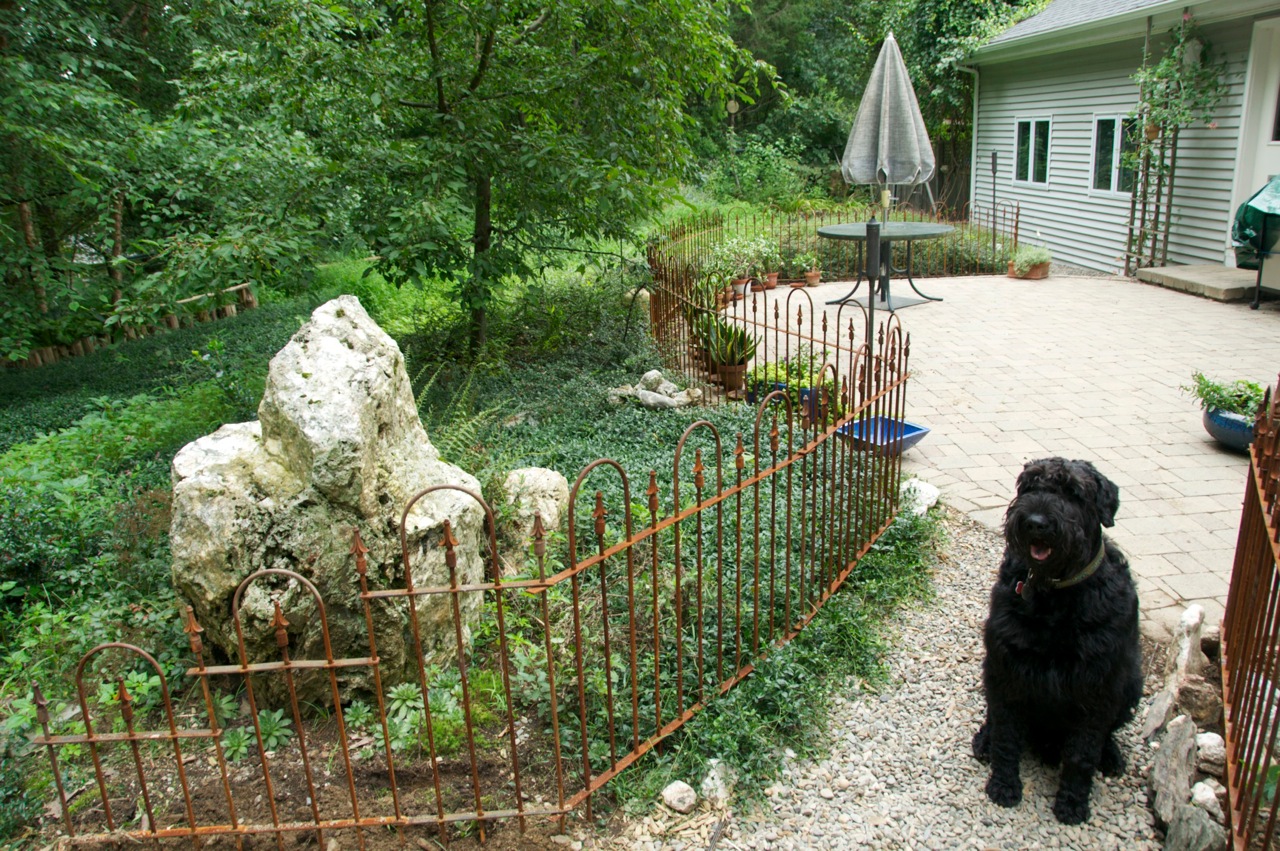 Ornamental Fence for Doggie Boundary
