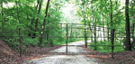 Custom Driveway Gate With Arrow For Hunting Lodge