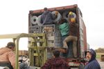 Double Loop Wire Fence Roll - 75 x 48 Tall - Decorative Wire