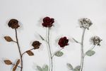 Double Rose Stake - Iron Garden Flowers
