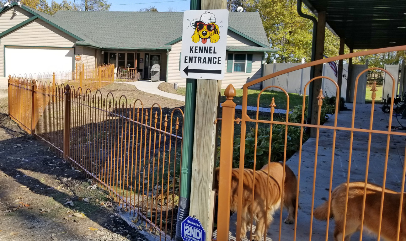 Golden Retriever Fencing And Gates