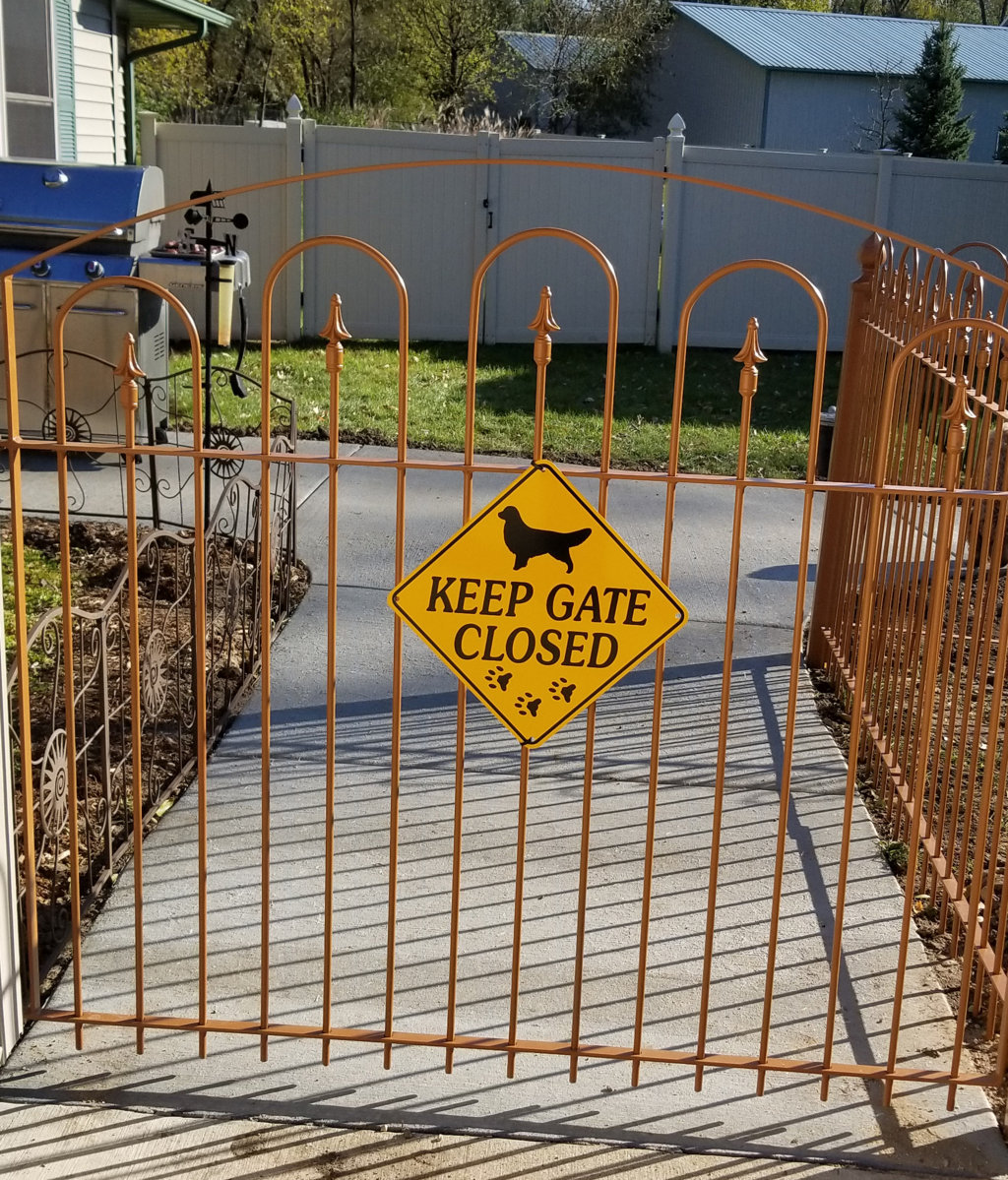 Golden Retriever Fencing And Gates