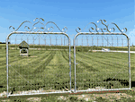2 - 3'tall x 3'wide Gates Hung To Make a 6'w Center Divide Opening