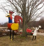 Gigantic Barn Yard Fowl - The Biggest Rooster Ever Made!